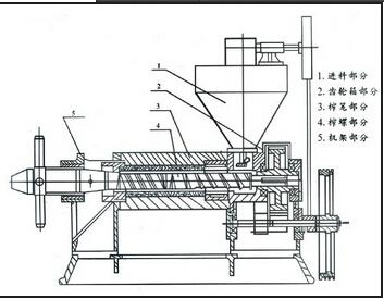 河南螺旋榨油機(jī)價(jià)格