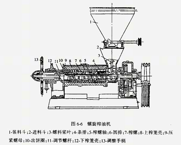 雙象榨油機講解：如何維護和保養榨油機？