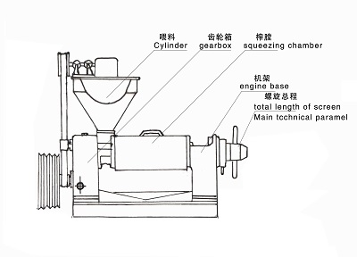 雙象榨油機產品介紹6YL-68螺旋榨油機